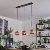 Ripoll hanging light, globe light, pendant light coppery, 3-light sources