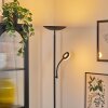 Dillingby floor lamp LED black, 2-light sources