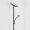 Dillingby floor lamp LED black, 2-light sources