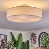 Foggia ceiling light matt nickel, 3-light sources