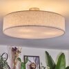 Foggia ceiling light matt nickel, 3-light sources