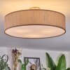 Foggia ceiling light matt nickel, 3-light sources