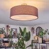 Foggia ceiling light matt nickel, 3-light sources