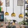 Koyoto hanging light, globe light, pendant light gold, clear, 3-light sources