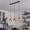 Koyoto hanging light, globe light, pendant light gold, clear, 3-light sources