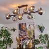 Gastor ceiling light, globe light chrome, clear, Smoke-coloured, 8-light sources