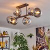Gastor ceiling light, globe light clear, Smoke-coloured, 6-light sources