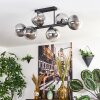 Gastor ceiling light, globe light clear, Smoke-coloured, 6-light sources