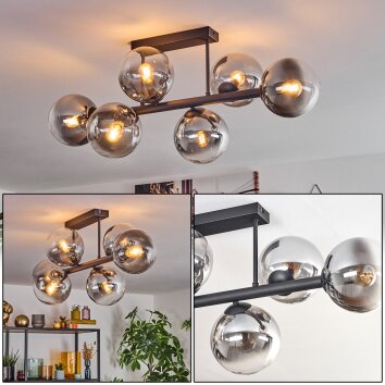 Gastor ceiling light, globe light clear, Smoke-coloured, 6-light sources