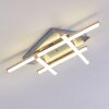 Eriz Ceiling Light LED matt nickel, 4-light sources, Remote control, Colour changer