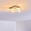 Eriz Ceiling Light LED matt nickel, 4-light sources, Remote control, Colour changer
