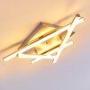 Eriz Ceiling Light LED matt nickel, 4-light sources, Remote control, Colour changer
