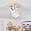 HERFORD Ceiling Light Ecru, white, 1-light source