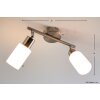Reality ceiling spotlight stainless steel, white