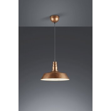 Reality WILL pendant light copper, 1-light source