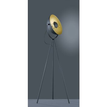 Reality CHEWY Floor Lamp black, 1-light source