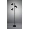 Reality GINA Floor Lamp black, 3-light sources
