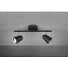 spotlight Reality TOULOUSE LED black, 2-light sources