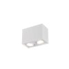 Ceiling Light Trio Leuchten BISCUIT white, 2-light sources