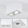 Baishan Ceiling Light LED white, 2-light sources