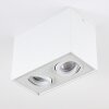 Baishan Ceiling Light LED white, 2-light sources