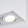 Baishan Ceiling Light LED white, 2-light sources
