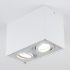 Baishan Ceiling Light LED white, 2-light sources
