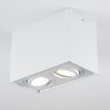Baishan Ceiling Light LED white, 2-light sources