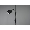 Reality Owen Floor Lamp black, 2-light sources