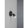 Reality Paris Wall Light black, 1-light source