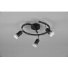 Reality Paris Ceiling Light black, 3-light sources