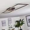 DOYON Ceiling Light LED black, 1-light source