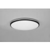 Reality Limbus Ceiling Light LED black, 1-light source