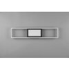 Reality Rigido Ceiling Light LED black, 1-light source, Remote control