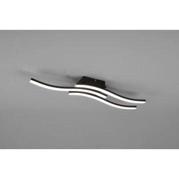 Reality Route Ceiling Light LED black, 3-light sources