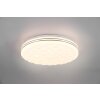 Reality Tiger Ceiling Light LED white, 1-light source, Remote control, Colour changer