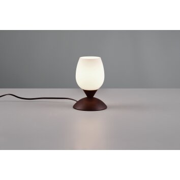 Reality Cup 2 Table lamp rust-coloured, 1-light source