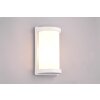 Reality Puelo Outdoor Wall Light white, 1-light source