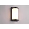 Reality Puelo Outdoor Wall Light black, 1-light source