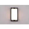 Reality Puelo Outdoor Wall Light black, 1-light source