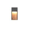 Trio lights SALMON wall light LED Light wood, 1-light source