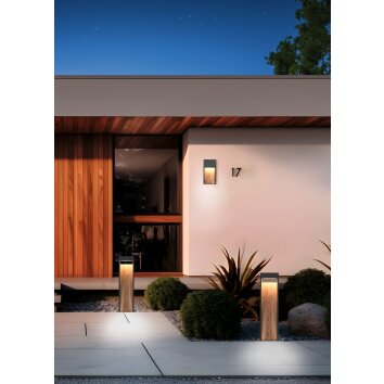 Trio lights SALMON wall light LED Light wood, 1-light source