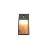 Trio lights SALMON wall light LED Light wood, 1-light source, Motion sensor
