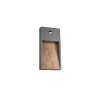 Trio lights SALMON wall light LED Light wood, 1-light source, Motion sensor
