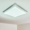 VOISINES Ceiling light LED white, 1-light source, Remote control, Colour changer