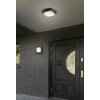 Trio lights Decken- ceiling light, wall light LED anthracite, 1-light source