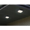 Trio lights Decken- ceiling light, wall light LED anthracite, 1-light source
