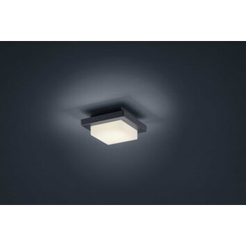 Trio lights Decken- ceiling light, wall light LED anthracite, 1-light source