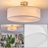 Foggia ceiling light matt nickel, 3-light sources