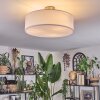 Foggia ceiling light matt nickel, 3-light sources
